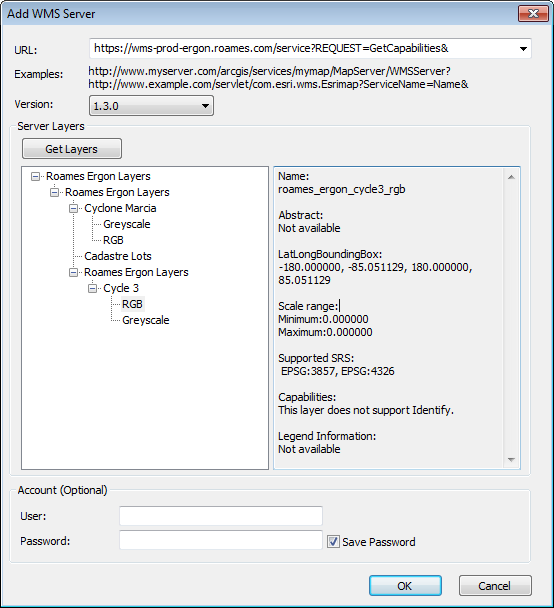 WMS Server